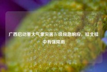 广西启动重大气象灾害Ⅳ级应急响应，桂北桂中有强降雨