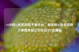 24小时dy业务自助下单平台，全天候dy业务自助下单新体验亿乐社区SUP货源站