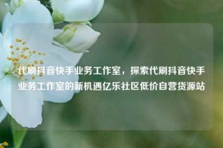 代刷抖音快手业务工作室，探索代刷抖音快手业务工作室的新机遇亿乐社区低价自营货源站