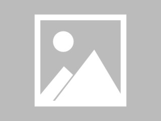 旭辉林中致歉：化债进入最关键期，要活下去、站起来