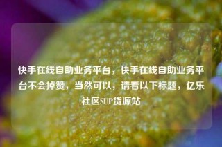 快手在线自助业务平台，快手在线自助业务平台不会掉赞，当然可以，请看以下标题，亿乐社区SUP货源站