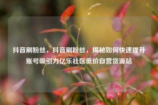 抖音刷粉丝，抖音刷粉丝，揭秘如何快速提升账号吸引力亿乐社区低价自营货源站