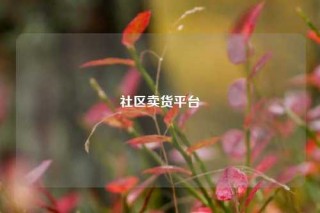 社区卖货平台