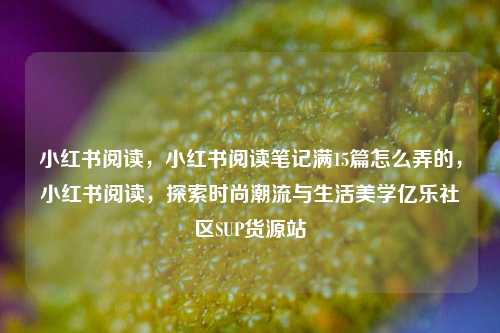 小红书阅读，小红书阅读笔记满15篇怎么弄的，小红书阅读	，探索时尚潮流与生活美学亿乐社区SUP货源站  第1张