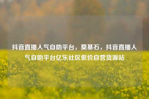 抖音直播人气自助平台，奠基石，抖音直播人气自助平台亿乐社区低价自营货源站  第1张