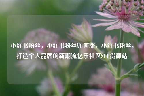 小红书粉丝，小红书粉丝如何涨	，小红书粉丝，打造个人品牌的新潮流亿乐社区SUP货源站  第1张